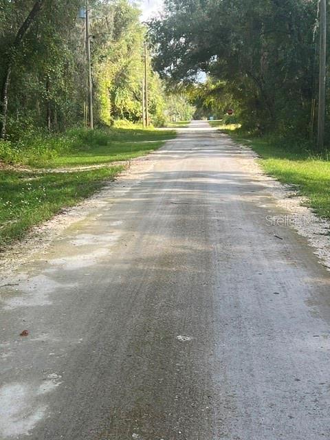 ELAINE DRIVE, WEBSTER, FL — photo 2 of 6