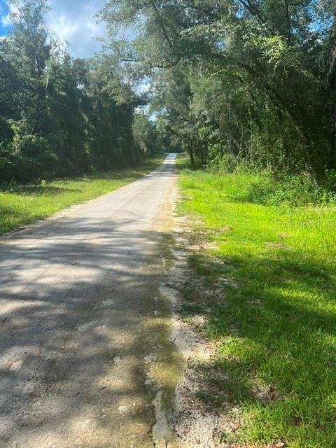 ELAINE DRIVE, WEBSTER, FL — photo 3 of 6