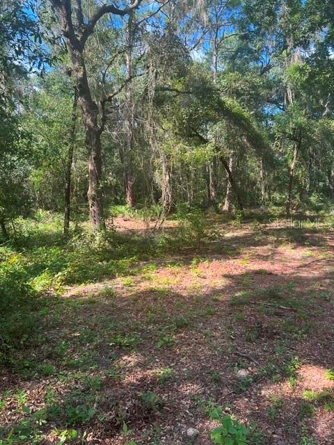 ELAINE DRIVE, WEBSTER, FL — photo 4 of 6