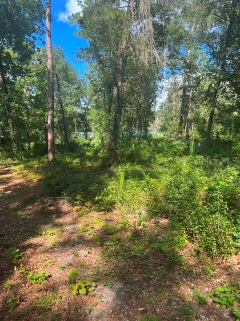 ELAINE DRIVE, WEBSTER, FL — photo 5 of 6