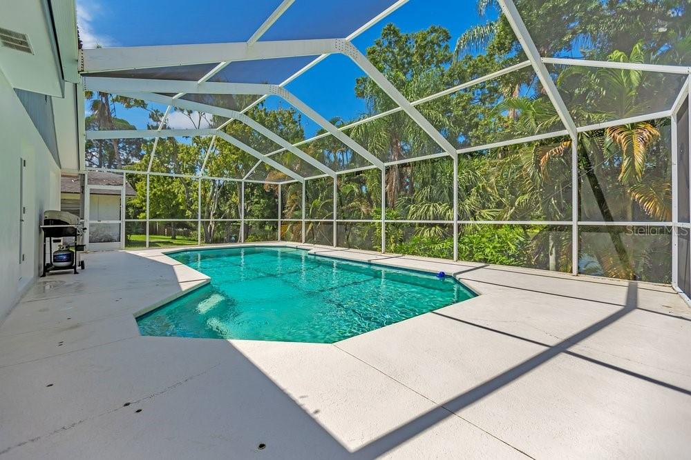 A screened-in swimming pool with a concrete deck and surrounding tropical landscaping — 1788 PATRICIA AVENUE, DUNEDIN, FL