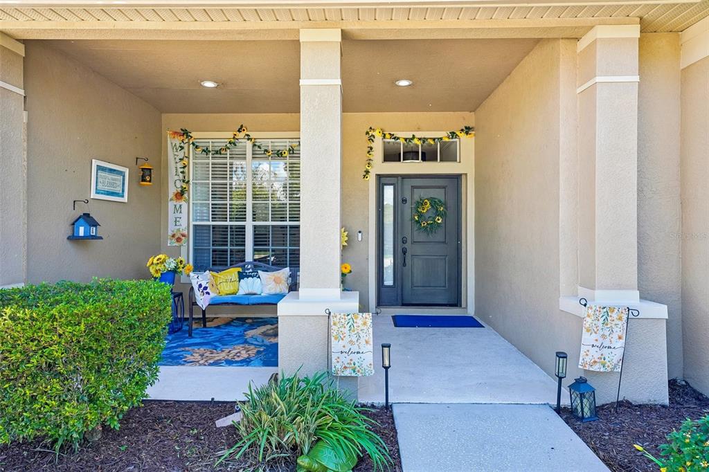 7404 AMBLESIDE DRIVE, LAND O LAKES, FL — photo 2 of 55