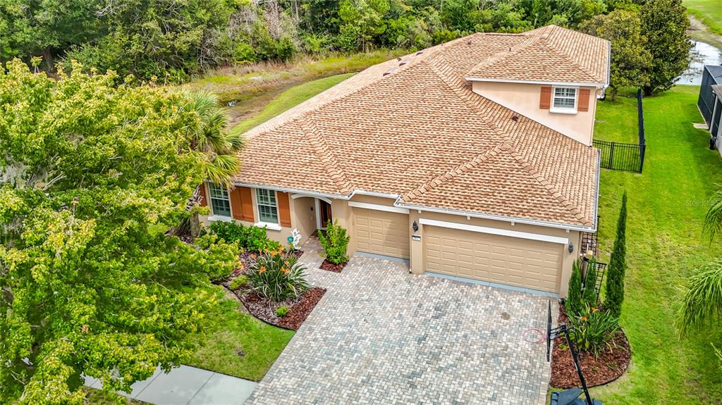 3117 MAJESTIC VIEW DRIVE, LUTZ, FL — photo 3 of 30