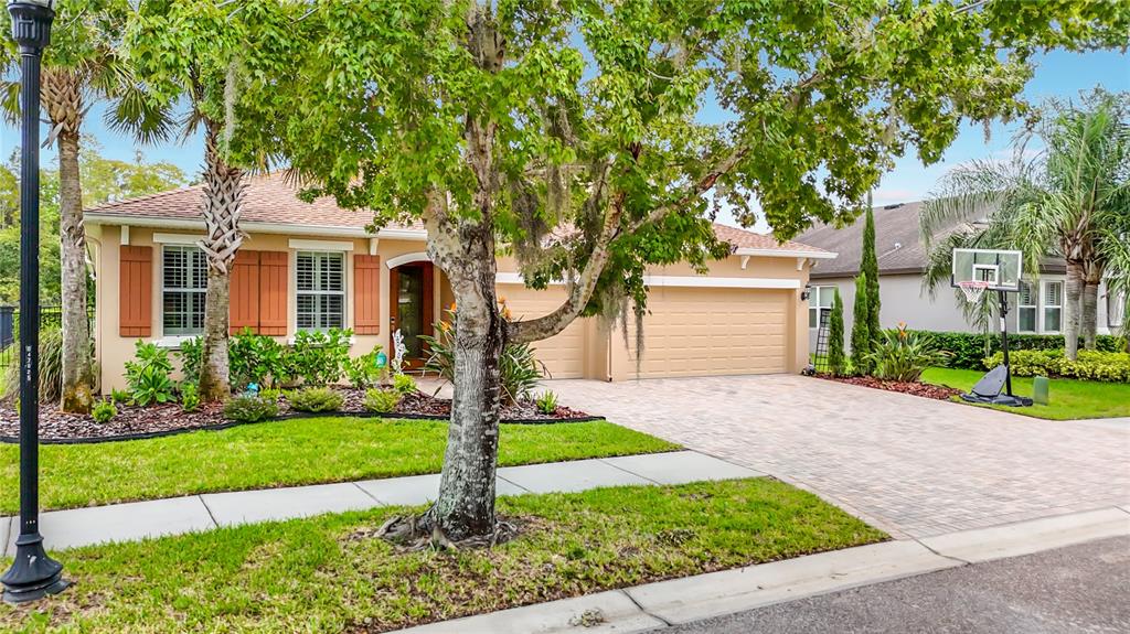 3117 MAJESTIC VIEW DRIVE, LUTZ, FL — photo 4 of 30