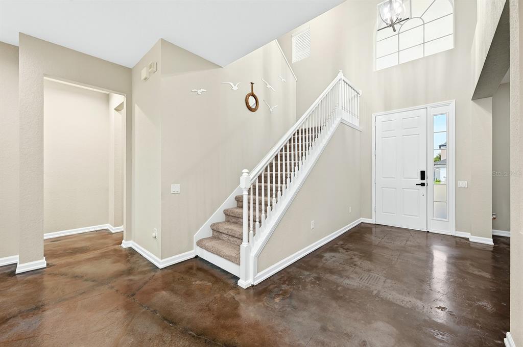 A bright entryway features a staircase, a large potted plant, and polished concrete flooring — 1135 TOLUKE POINT, ORLANDO, FL