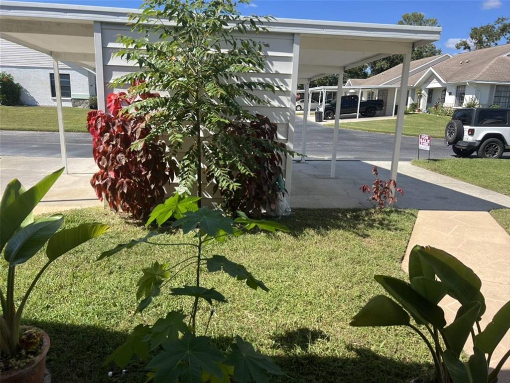 A view of a residential carport and surrounding landscaping with a small tree and shrubs — 10706 LAQUINTA DRIVE, NEW PORT RICHEY, FL