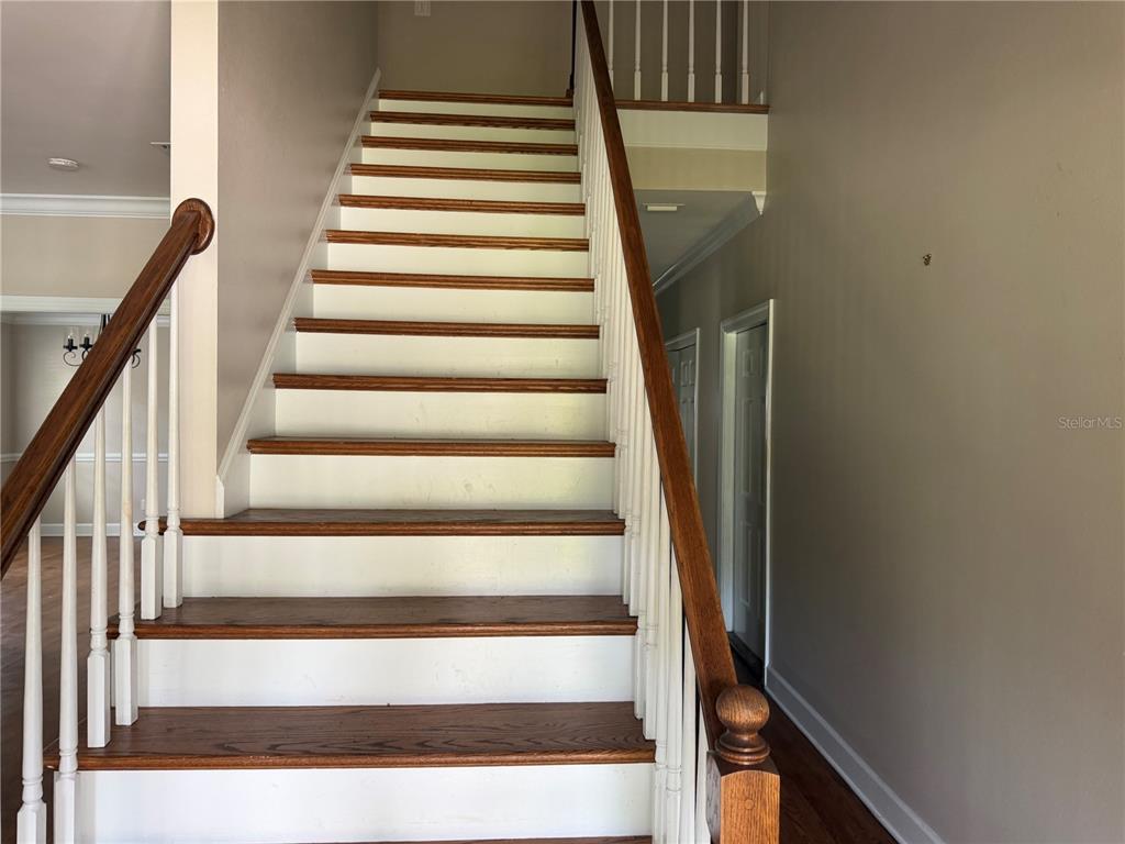 A staircase with wooden treads and white risers features a wooden handrail and white balusters — 916 HILLCREST COURT, TALLAHASSEE, FL