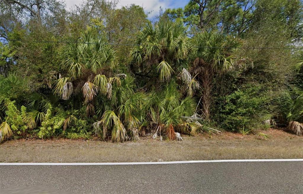 A view of a roadside lot densely covered with palm trees and native vegetation — 17478 MARK AVENUE, PORT CHARLOTTE, FL