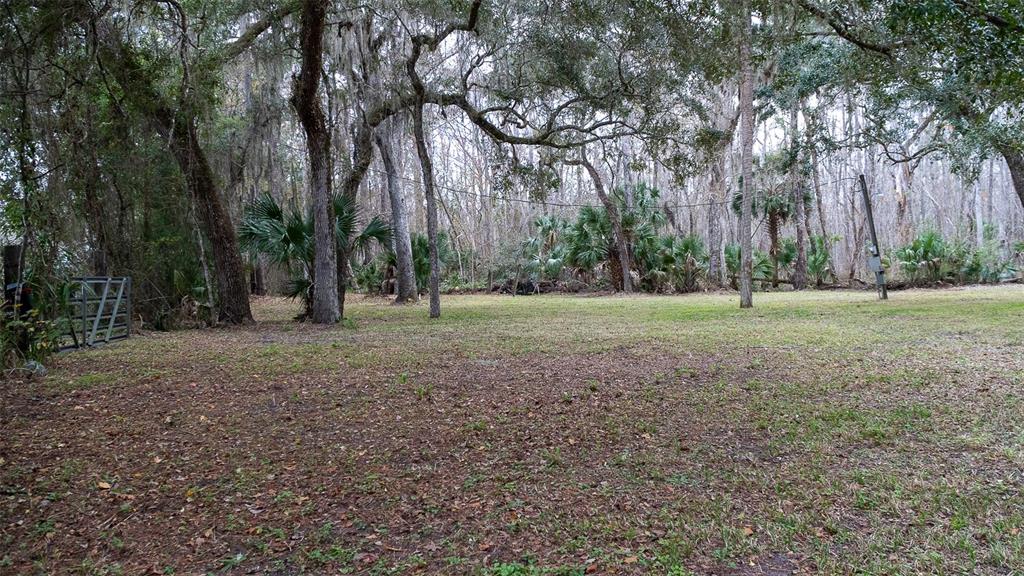 A grassy, wooded lot features mature trees with hanging moss and a metal gate — 155 FRAN LANE, SATSUMA, FL