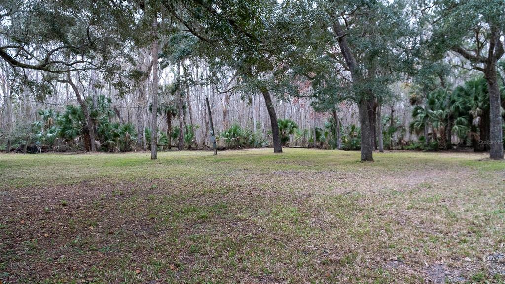 A grassy, wooded lot features mature trees and dense vegetation in the background — 155 FRAN LANE, SATSUMA, FL