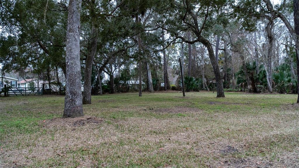 A grassy, wooded lot features several large trees and a metal gate in the background — 155 FRAN LANE, SATSUMA, FL