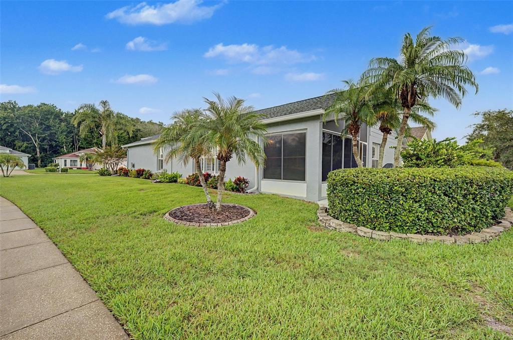 A side view of a house with a screened lanai, palm trees, and manicured hedges — 1004 SWEET JASMINE DRIVE, TRINITY, FL