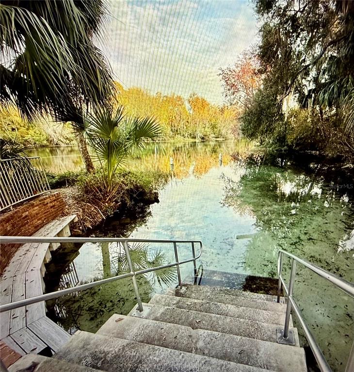 Concrete stairs with metal railings lead directly into a clear, natural spring surrounded by trees — SW 205TH CIRCLE, DUNNELLON, FL
