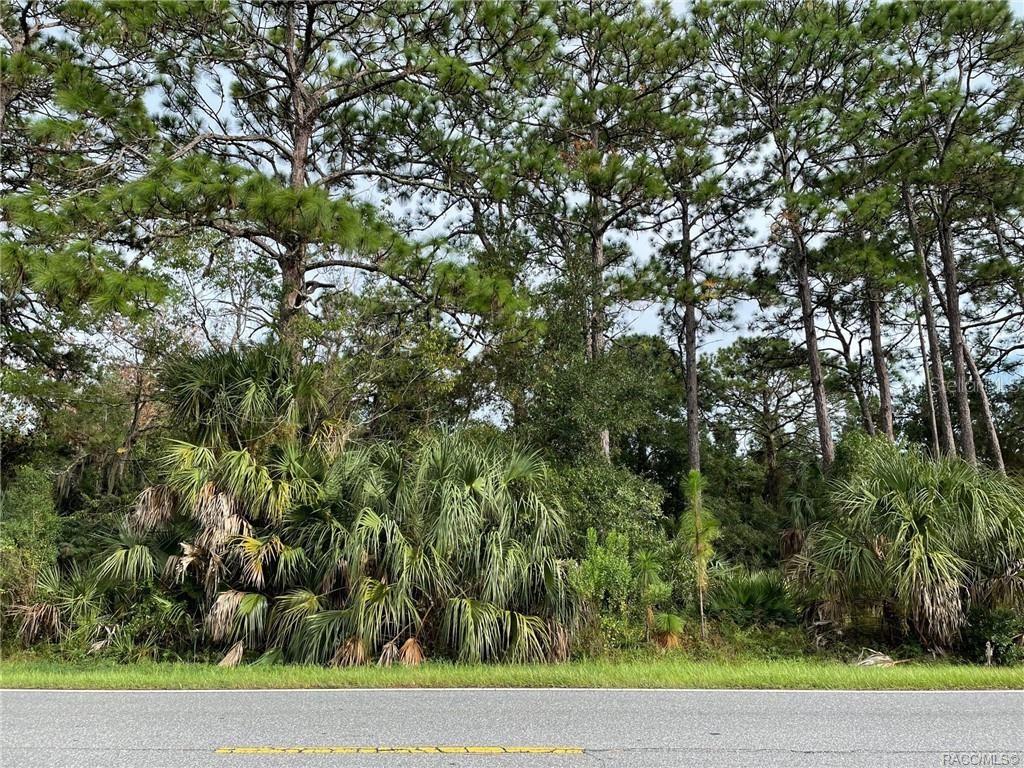 7852 W HOMOSASSA TRAIL
