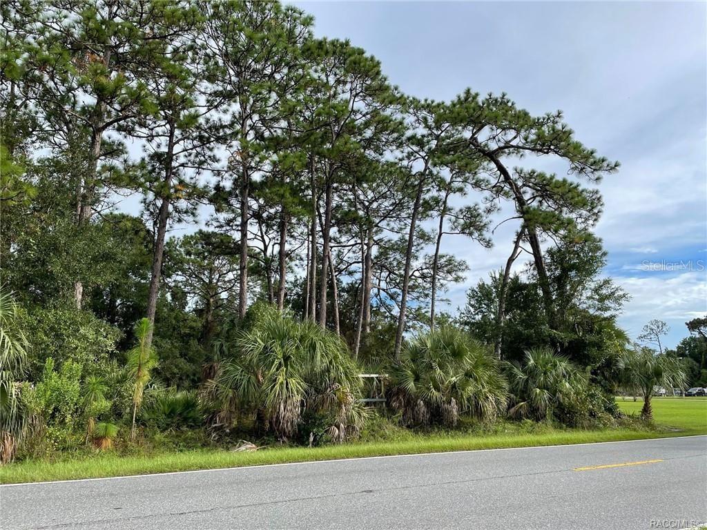 A paved road runs in front of a wooded lot with tall pine trees and palmettos — 7852 W HOMOSASSA TRAIL, HOMOSASSA, FL