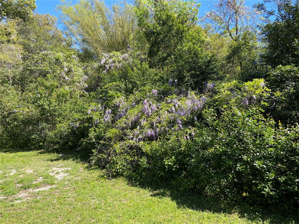 555 NW 23RD STREET, GAINESVILLE, FL — photo 4 of 25