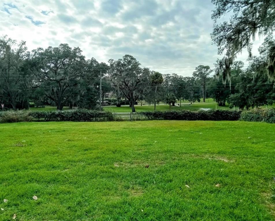 A grassy backyard features a hedge line and mature trees under a cloudy sky — 0 SE 12TH STREET N, OCALA, FL
