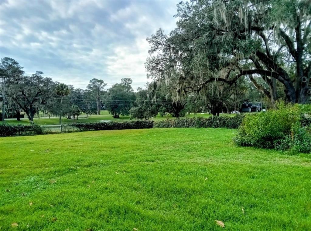 A grassy backyard features a large oak tree with Spanish moss and a distant view — 0 SE 12TH STREET N, OCALA, FL