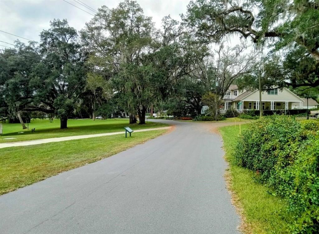 A paved road leads toward a light-colored house surrounded by large, moss-draped oak trees — 0 SE 12TH STREET N, OCALA, FL
