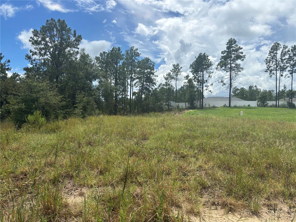 A grassy, undeveloped lot features scattered trees under a bright, cloudy sky — 12828 SW 86 CIRCLE, OCALA, FL