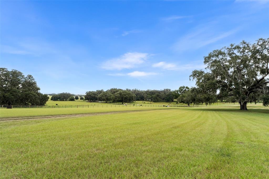 A wire fence runs through a large, grassy pasture with scattered oak trees under blue skies — 23220 NW 27TH ST, MORRISTON, FL