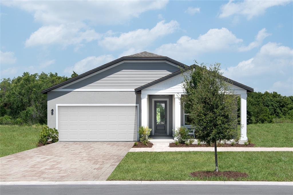 2424 DUCK HAWK STREET