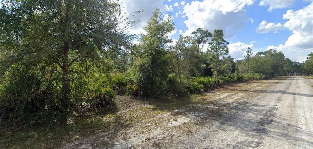 A dirt road runs alongside a wooded lot with dense trees and underbrush — ALBA DRIVE, INDIAN LAKE ESTATES, FL
