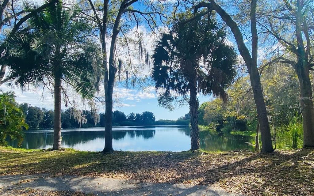 2400 PINE HAMMOCK