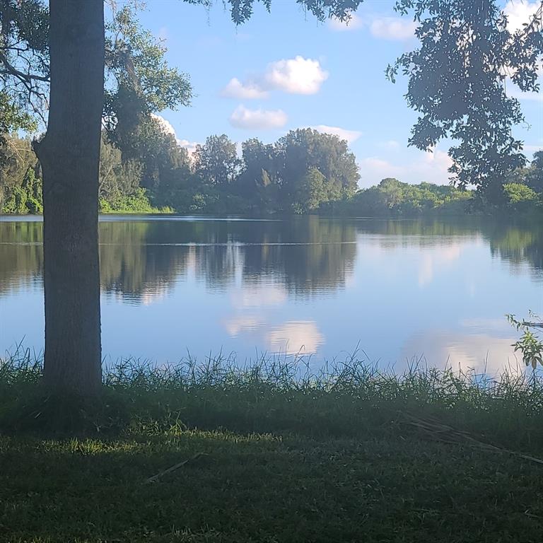 A calm lake reflects the sky and surrounding trees, viewed from a grassy, shaded bank — 2400 PINE HAMMOCK, CLEARWATER, FL