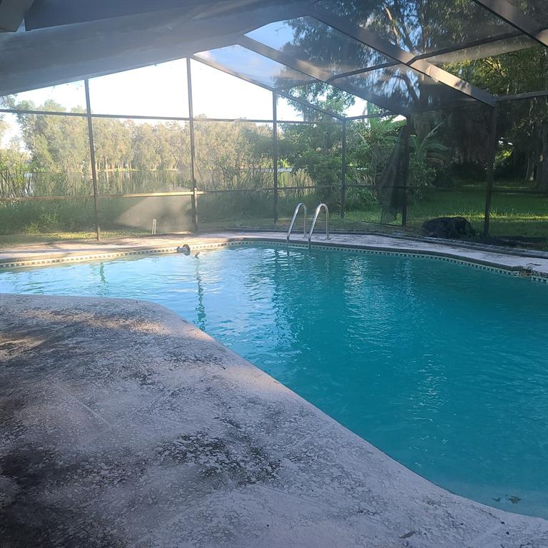 A screened-in swimming pool overlooks a lake with tall grass and trees in the background — 2400 PINE HAMMOCK, CLEARWATER, FL