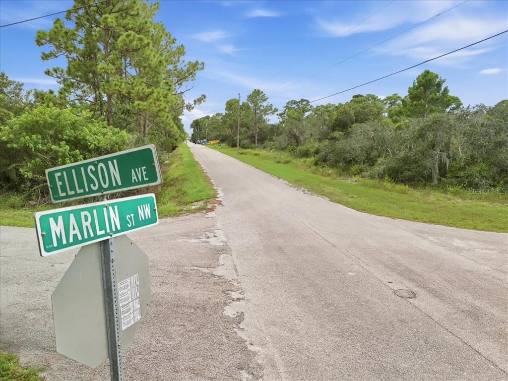 213 MARLIN STREET NW, LAKE PLACID, FL — photo 4 of 16