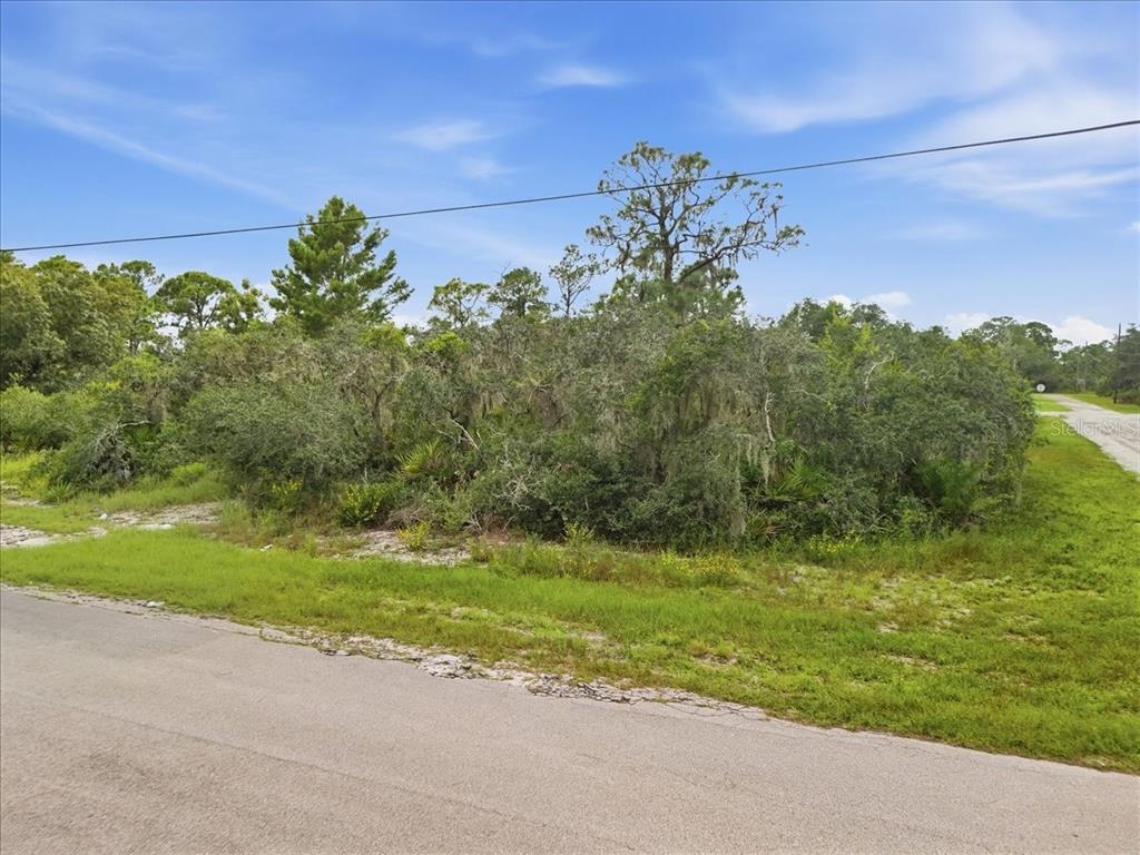 213 MARLIN STREET NW, LAKE PLACID, FL — photo 5 of 16