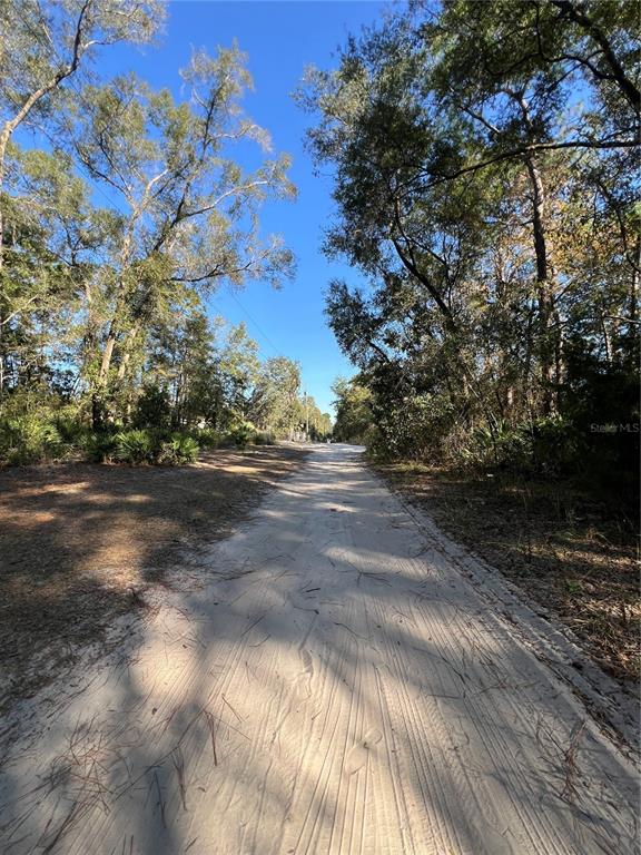 A sandy dirt road leads through a wooded area under a clear blue sky — TBD SE 179TH PLACE, SUMMERFIELD, FL