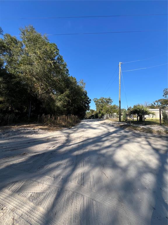 A dirt road stretches between a line of trees and a utility pole — TBD SE 179TH PLACE, SUMMERFIELD, FL