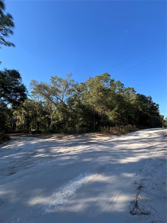 A sandy, unpaved road leads toward a dense line of trees under a clear sky — TBD SE 179TH PLACE, SUMMERFIELD, FL