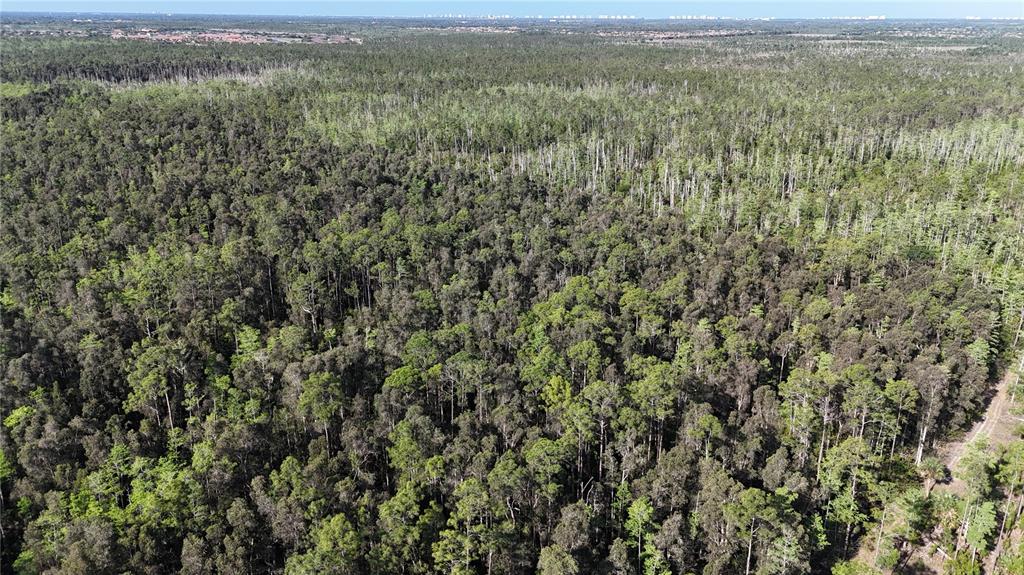 An aerial view shows a dense forest with a dirt path on the right side — 0, NAPLES, FL