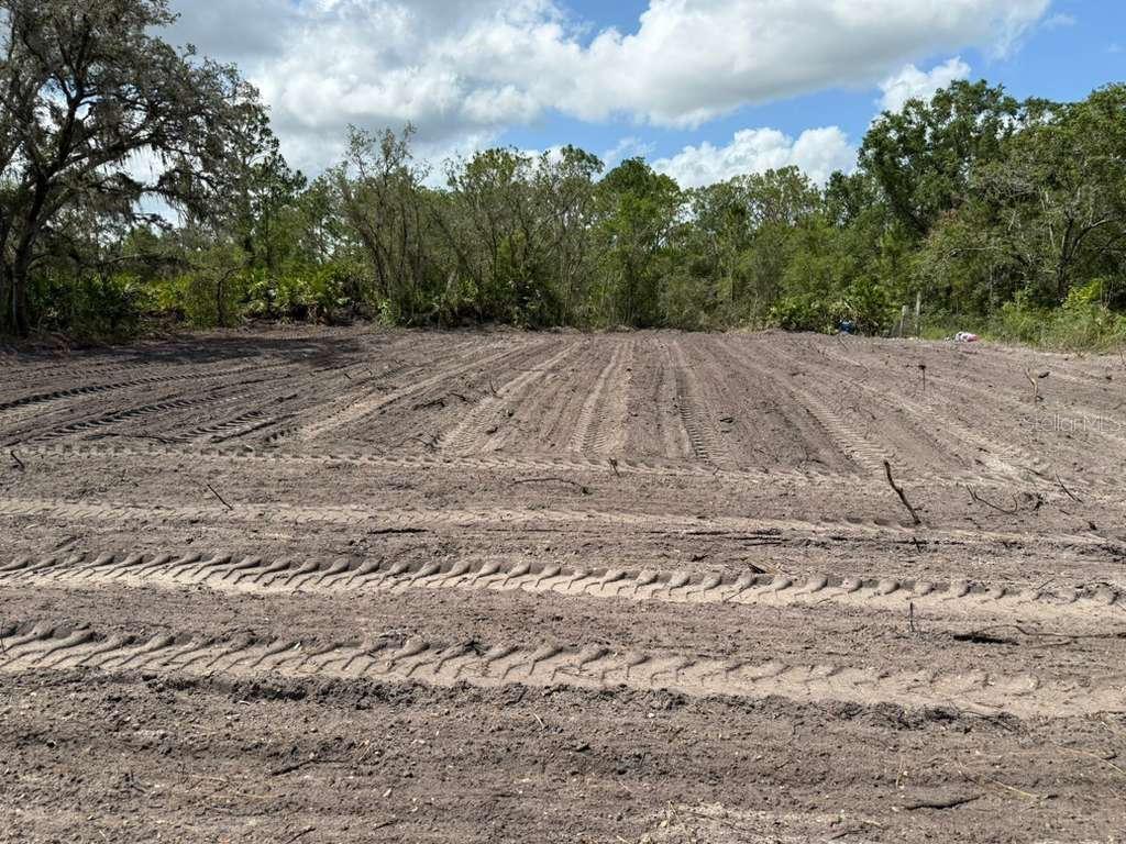 A cleared, flat dirt lot with tire tracks and a background of dense trees — 3025 W METUCHEN ROAD, AVON PARK, FL