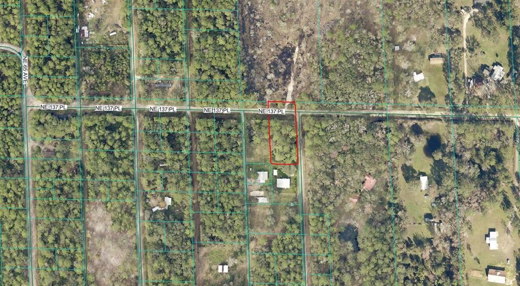 An aerial map view shows a rectangular plot of land outlined in red — TBD NE 137TH PLACE, CITRA, FL