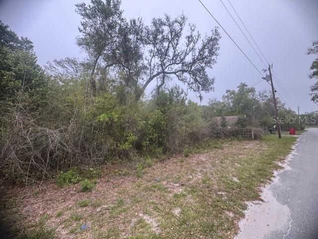 A view of a vacant, wooded lot bordered by a paved road and utility poles — CR 687, WEBSTER, FL