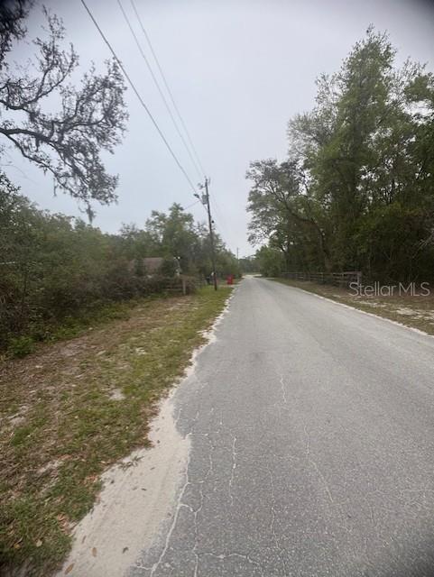 A paved road stretches into the distance, flanked by trees, brush, and a wooden fence — CR 687, WEBSTER, FL