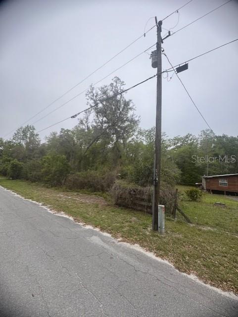 A utility pole stands beside a paved road next to a wooded lot and house — CR 687, WEBSTER, FL