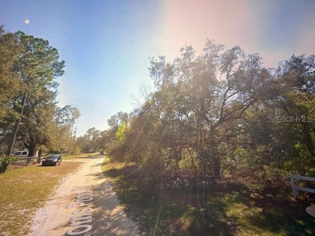 A dirt road leads past a wooded area with mature trees under a bright sky — TOMS POND ROAD, EUSTIS, FL