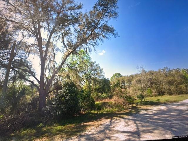 A dirt road runs alongside a wooded lot with large trees and dense vegetation — TOMS POND ROAD, EUSTIS, FL