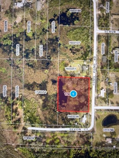 This is a satellite map view showing a highlighted rectangular plot of land — TOMS POND ROAD, EUSTIS, FL