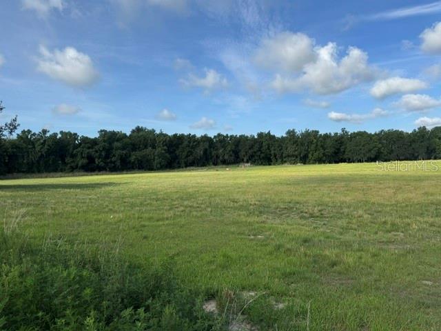701 BROOKE ROAD, FORT MEADE, FL — photo 4 of 8