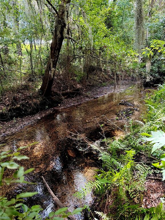 701 BROOKE ROAD, FORT MEADE, FL — photo 5 of 8