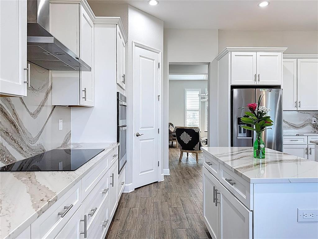 A modern kitchen features white cabinets, marble-patterned countertops, stainless steel appliances, and wood-look flooring — 5216 LAKE VENICE DRIVE, WIMAUMA, FL