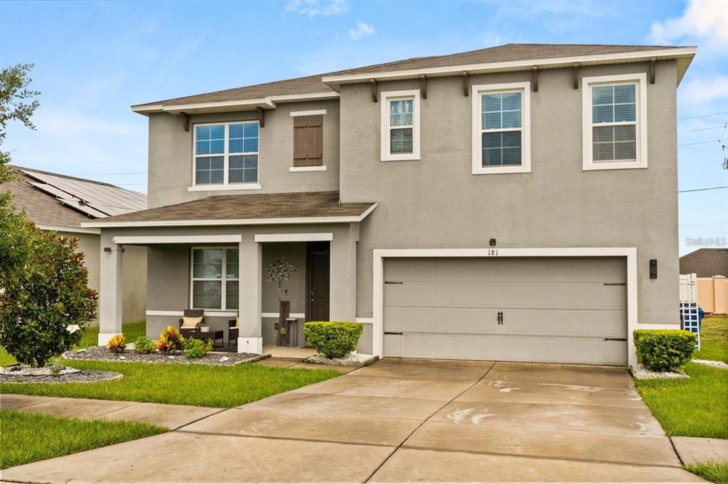 181 LUDISIA LOOP