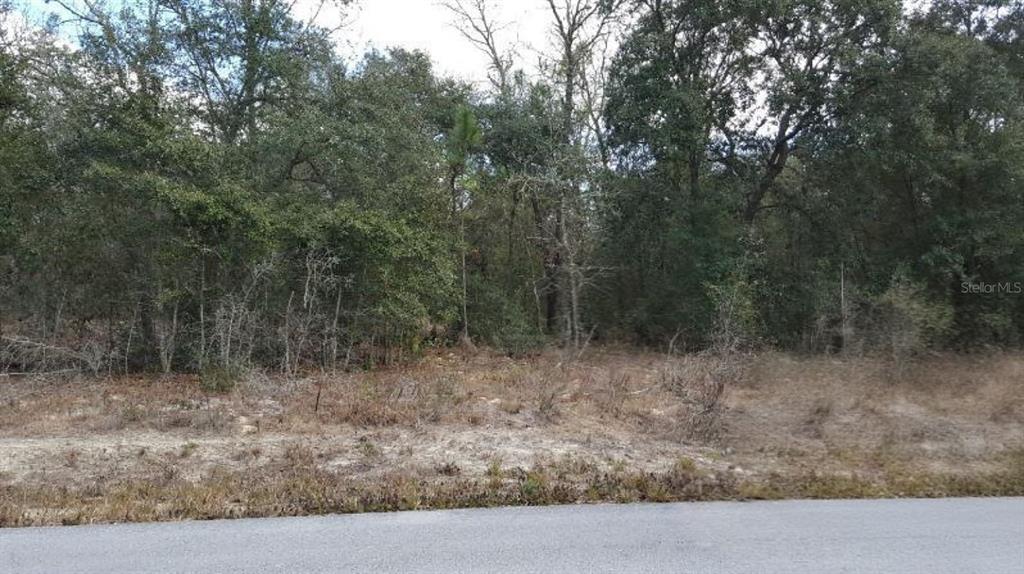 0 SE 88TH CT, SUMMERFIELD, FL — photo 2 of 5