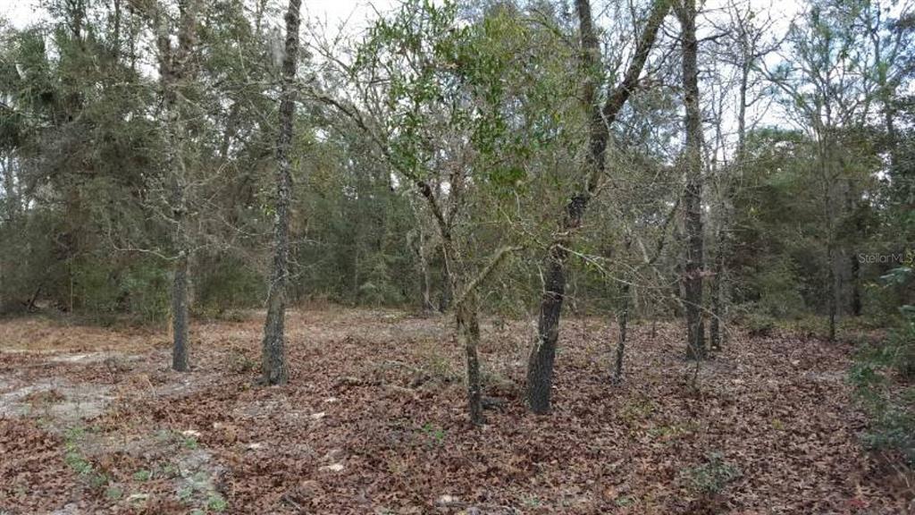 0 SE 88TH CT, SUMMERFIELD, FL — photo 4 of 5